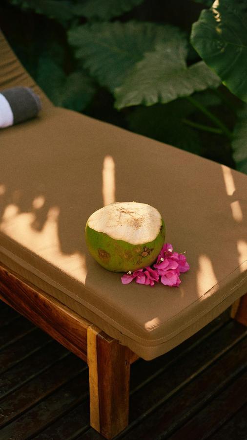 Aldea Paraiso - Adults Only - Boutique Hotel Puerto Escondido  Εξωτερικό φωτογραφία